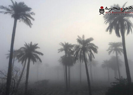 مستند «سینه‌ما رکس» به اکران هنروتجربه پیوست