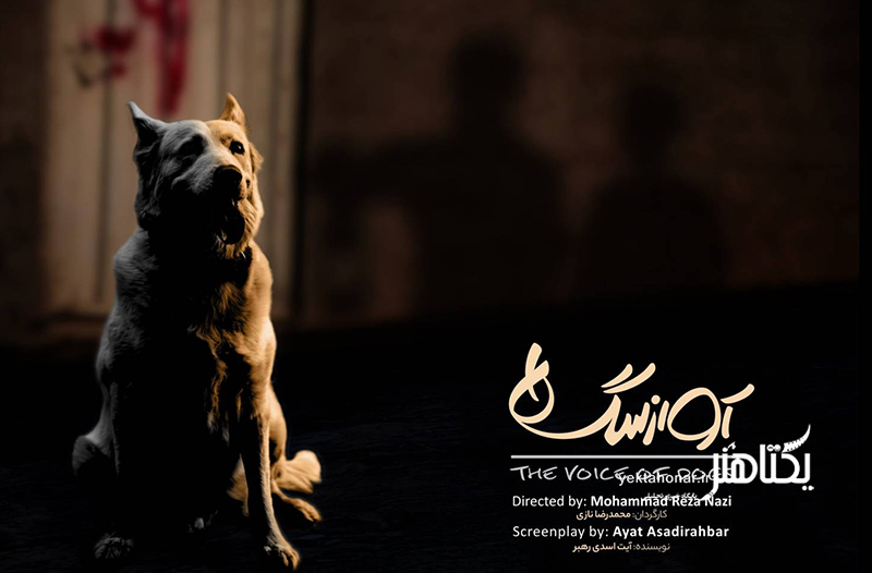 تولید فیلم کوتاه «آواز سگ‌ها» به پایان رسید