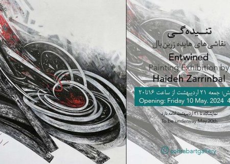 آثار هایده زرین بال روی دیوار می‌رود/«تنیده‌گی» در مرز هستی و نیستی