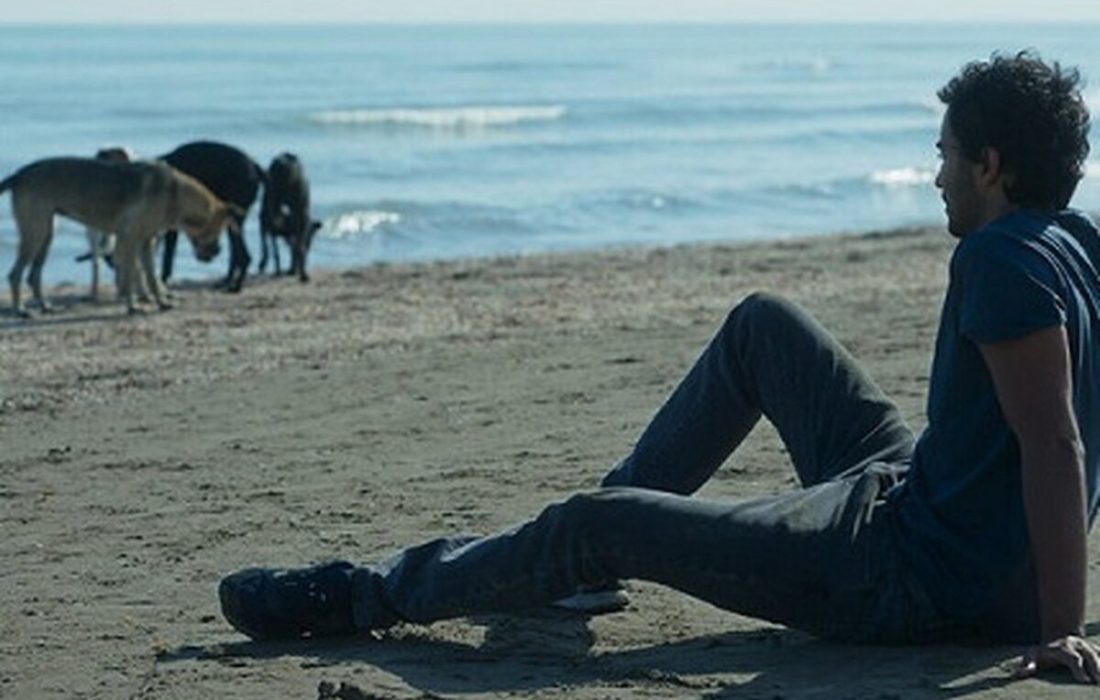 «رکسانا» بدون اصلاحیه پروانه نمایش گرفت