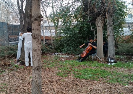 درخت زرین» تجسمی فجر با مراسم درخت کشی به بار نشست!