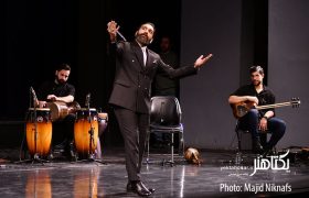 کنسرت علی زندوکیلی در تالار وحدت‎