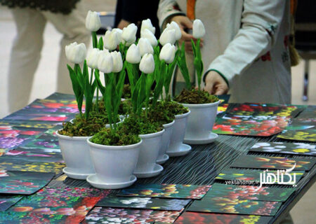 نمایشگاه عکس «لالایی لاله‌ها»