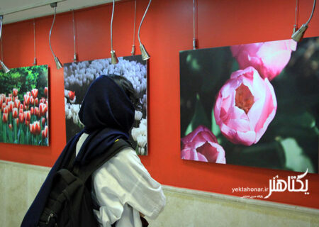 در آغوش لاله‌ها و نگاهی عمیق به تغییر و تحول