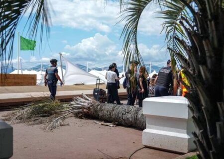 سقوط نخل در جشنواره فیلم کن!