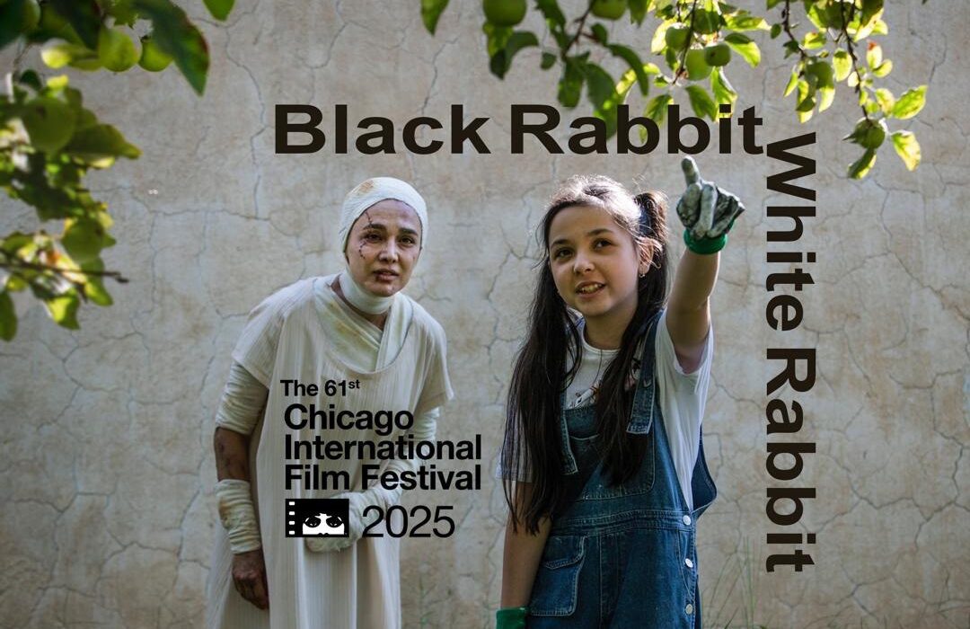 «خرگوش سیاه خرگوش سفید» راهی شیکاگو شد