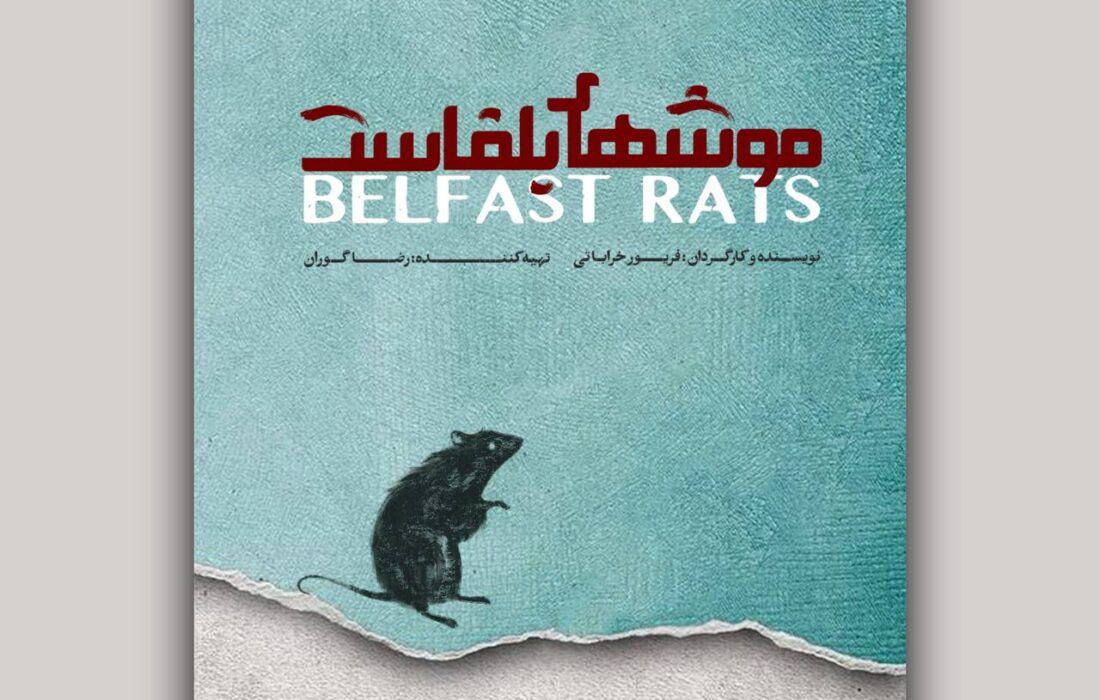 موشهای بلفاست روی صحنه