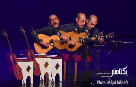 عکس‌های کنسرت سهیل نفیسی آهنگساز و نوازنده گیتار و خواننده